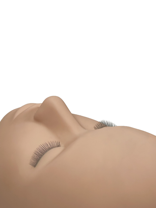 3 Layered Mannequin Head